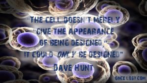 Dave Hunt The cell