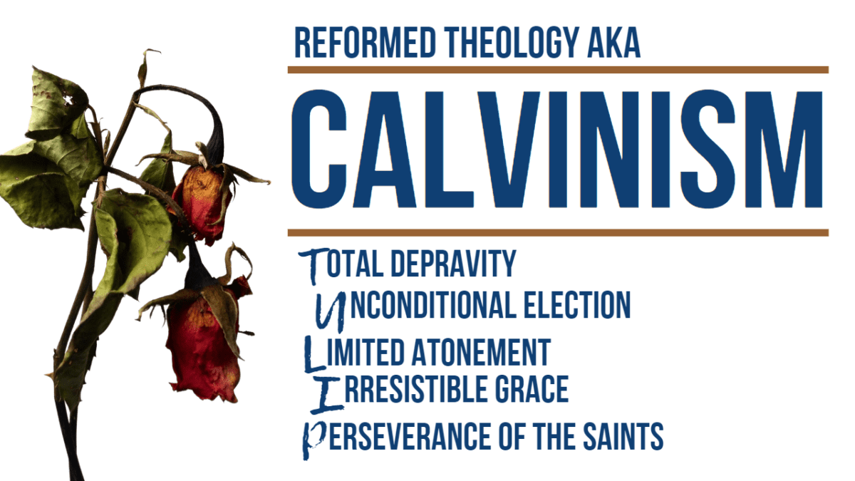 calvinism calvinism